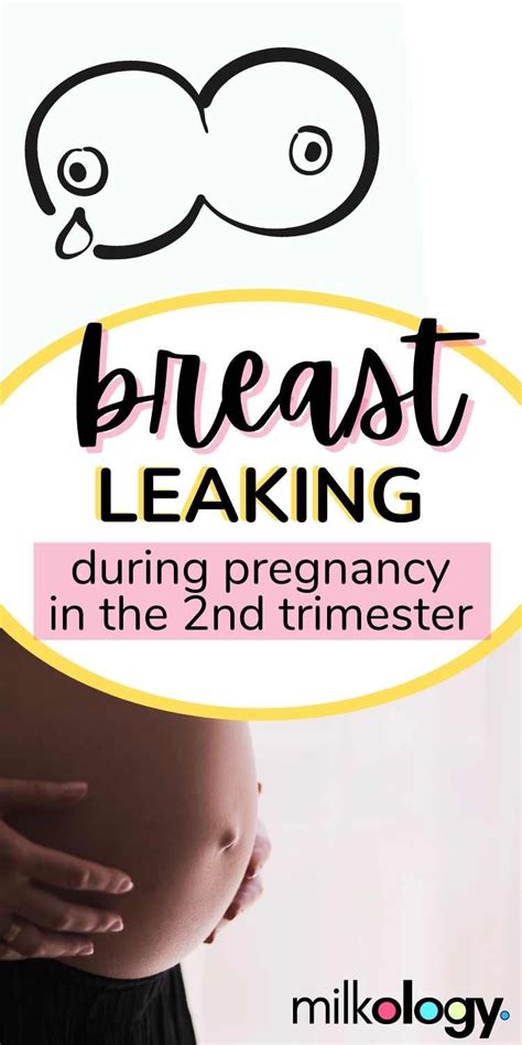 Help! My Breasts Are Leaking During Pregnancy (2nd Trimester ...